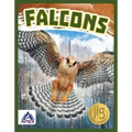 Falcons