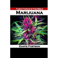 Taboo Topics In The Bible: Marijuana