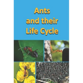 Ants and their Life Cycle