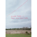 Name Them--They Fly Better: Pat Hammond's Theory of Aerodynamics