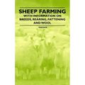 Sheep Farming - With Information on Breeds, Rearing, Fattening and Wool
