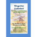 Wings Over Luckenbach: The Story of Jacob Brodbeck and His 1865 Air Ship