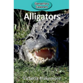 Alligators