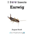 Earwig