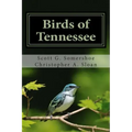 Birds of Tennessee: A New Annotated Checklist