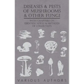 Diseases and Pests of Mushrooms and Other Fungi - With Chapters on Disease, Insects, Sanitation and Pest Control