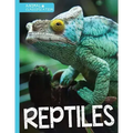 Reptiles