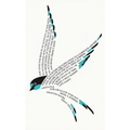 One Swallow Does Not Make a Summer