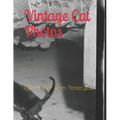 Vintage Cat Photos: Cat Humor from Yesteryear