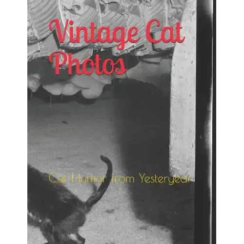 Vintage Cat Photos: Cat Humor from Yesteryear