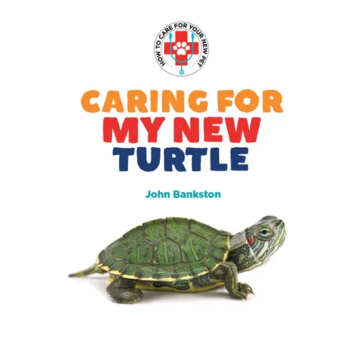Caring for My New Turtle