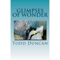 Glimpses of Wonder