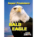 Bald Eagle: (Age 5 - 8)