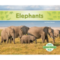Elephants