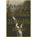 The Weathering of Igneous Rockforms in High-Altitude Riparian Environments