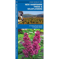New Hampshire Trees & Wildflowers: A Folding Pocket Guide to Familiar Plants
