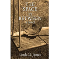 THE SPACE in BETWEEN