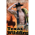 Texas Wildfire