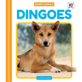 Dingoes
