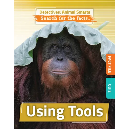 Using Tools