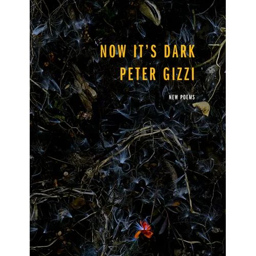 Now It's Dark