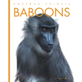 Baboons