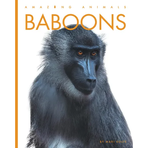 Baboons