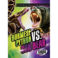 Burmese Python vs. Sun Bear