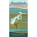 Shorebirds of the Southeast & Gulf States: Your Way to Easily Identify Shorebirds