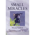 Small Miracles