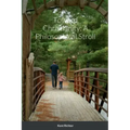 Toward Christianity: A Philosophical Stroll