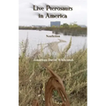 Live Pterosaurs in America: Not extinct, flying creatures of cryptozoology that some call pterodactyls or flying dinosaurs or prehistoric birds