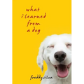What I Learned From A Dog