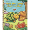 How the Turtle Got Its Shell