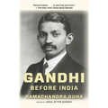 Gandhi Before India