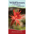 Wildflowers of Southern California: Your Way to Easily Identify Wildflowers