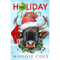 Holiday Rider-Discreet Cover: A Second Chance Cowboy Romance