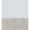 Cy Twombly