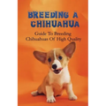 Breeding A Chihuahua: Guide To Breeding Chihuahuas Of High Quality: Chihuahua Dog Breed Information