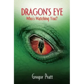 Dragon's Eye: Who's Watching You?