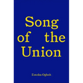 Song of the Union: Emeka Ogboh