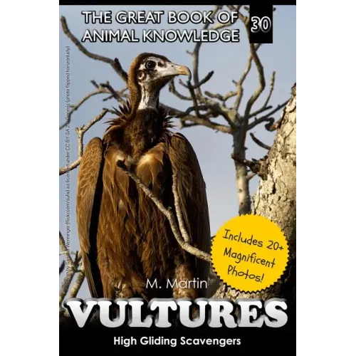 Vultures: High Gliding Scavengers