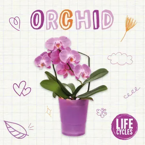 Orchid