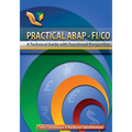 Practical ABAP - FI/CO: A Technical Guide with Functional Perspective