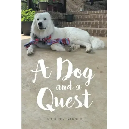 A Dog and a Quest
