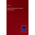 Figures and Descriptions of Canadian Organic Remains