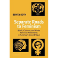 Separate Roads to Feminism: Black, Chicana, and White Feminist Movements in America's Second Wave