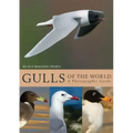 Gulls of the World: A Photographic Guide