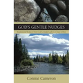 God's Gentle Nudges: Inspirational Stories of How God Lovingly Leads Us Closer to Him