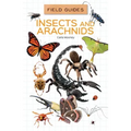 Insects and Arachnids
